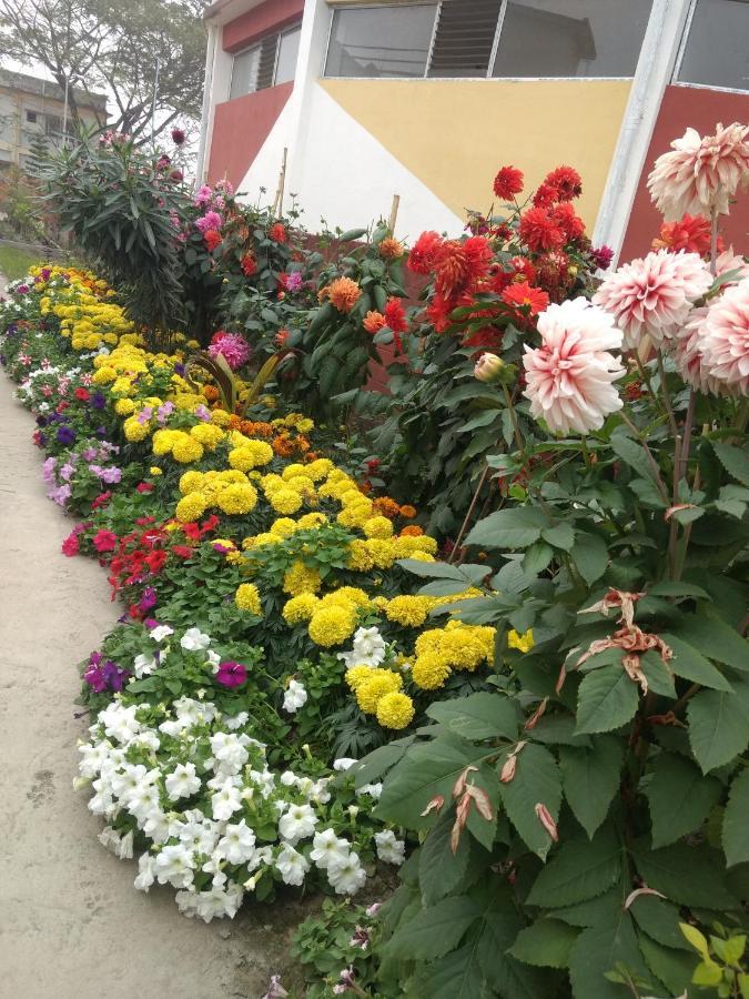 Woodland Lodge And Restaurant Guwahati Luaran gambar